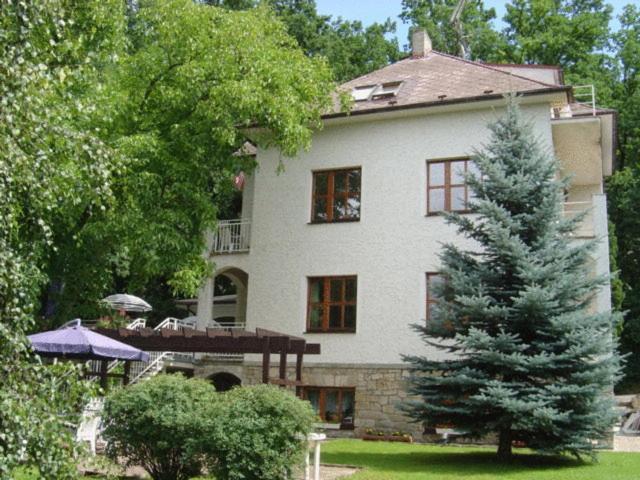 Hotel Villa Conti Písek Exterior foto